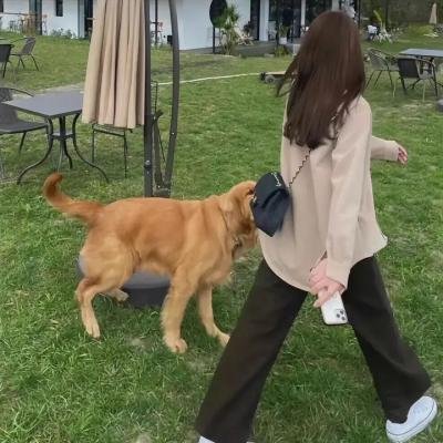 疯马歌舞秀
